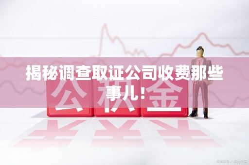 柘荣揭秘调查取证公司收费那些事儿！
