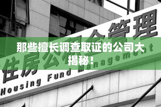 柘荣那些擅长调查取证的公司大揭秘！