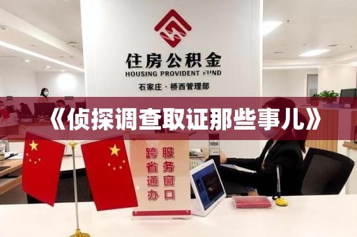 柘荣《侦探调查取证那些事儿》