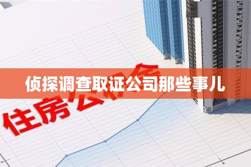 柘荣侦探调查取证公司那些事儿