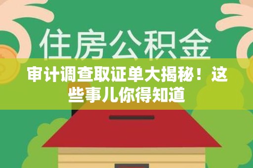 柘荣审计调查取证单大揭秘！这些事儿你得知道