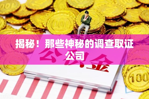 柘荣揭秘！那些神秘的调查取证公司