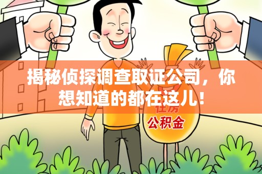 柘荣揭秘侦探调查取证公司，你想知道的都在这儿！