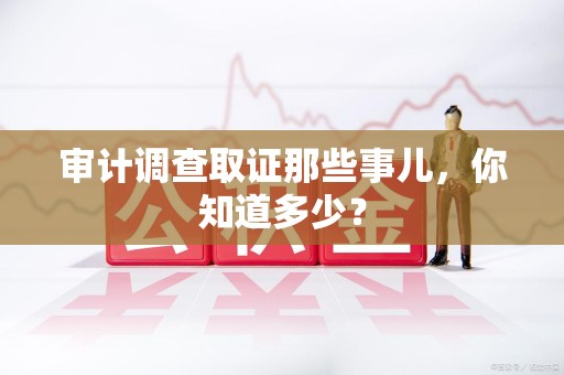 柘荣审计调查取证那些事儿，你知道多少？