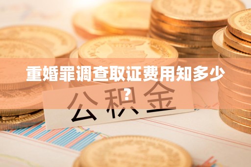 柘荣重婚罪调查取证费用知多少？