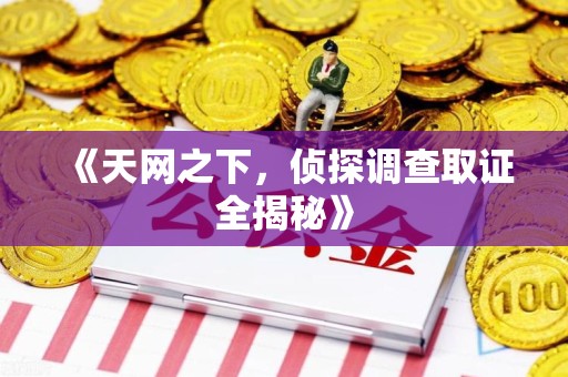 柘荣《天网之下，侦探调查取证全揭秘》