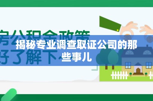 柘荣揭秘专业调查取证公司的那些事儿