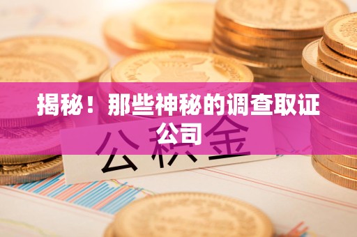 柘荣揭秘！那些神秘的调查取证公司