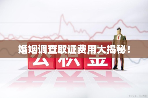 柘荣婚姻调查取证费用大揭秘！