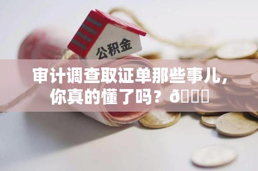 柘荣审计调查取证单那些事儿，你真的懂了吗？😎