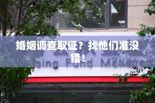 柘荣婚姻调查取证？找他们准没错！